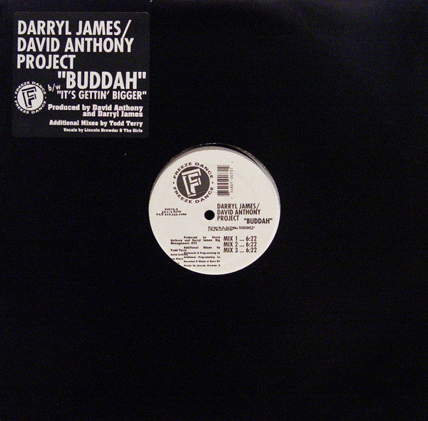 Darryl James / David Anthony Project* : Buddah / It's Gettin' Bigger (12")