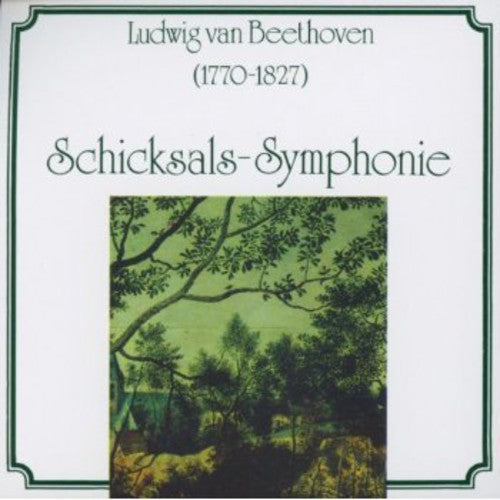 the album cover for Radio-Symphonieorchester Ljubljana - Schicksal Symphony