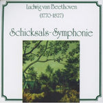 the album cover for Radio-Symphonieorchester Ljubljana - Schicksal Symphony