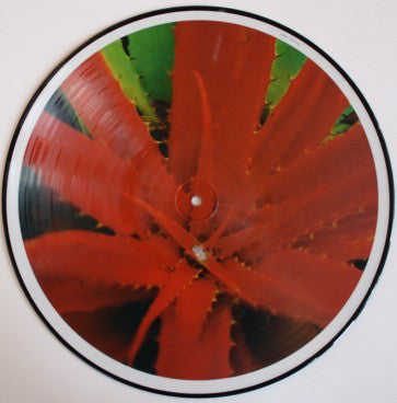 Jejune : This Afternoons Malady (LP, Album, Pic)