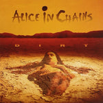 the album cover for Alice In Chains - Dirt
