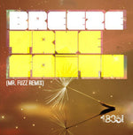 the album cover for Breeze - True Faith (MR Fuzz Remix)