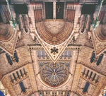 GDP - Useless Eaters (Vinyl)