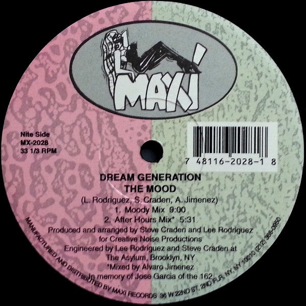 Dream Generation : The Mood (12")