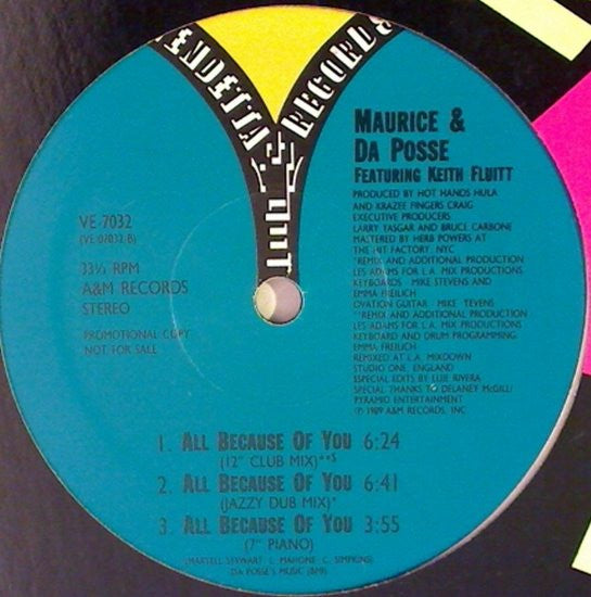 Maurice* & Da Posse : All Because Of You (12", Promo)