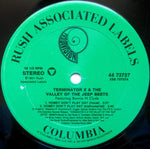 Terminator X : Homey Don't Play Dat (12", Single)
