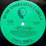 Terminator X : Homey Don't Play Dat (12", Single)