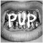 the album cover for Pup - Pup