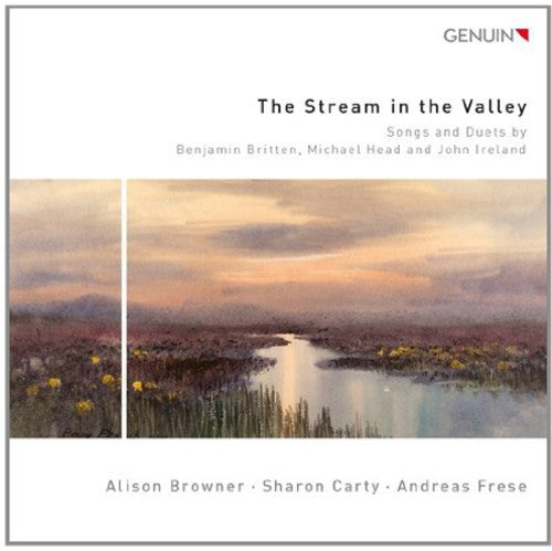 the album cover for Alison Browner - Stream of the Valley
