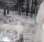 Ana Cristina Cash : My Christmas Collection (LP)