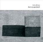 the album cover for Pierre-Andre Valade - Dust Encapsulated