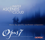 the album cover for B. Herbolsheimer - As Water Ascends to a Cloud