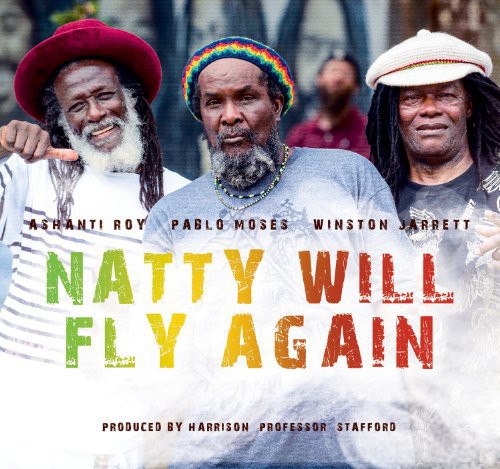 the album cover for Natty Will Fly Again / Various - Natty Will Fly Again / Various