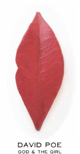 the album cover for David Poe - God & The Girl