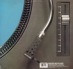Roger Sanchez Featuring Cooly's Hot Box : I Never Knew (12")