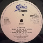 Louie Louie (2) : Sittin'in The Lap Of Luxury (12")