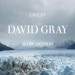 the album cover for David Gray - Life in Slow Motion