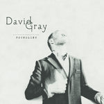 the album cover for David Gray - Foundling