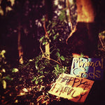 the album cover for Happy Family - Minimal Gods