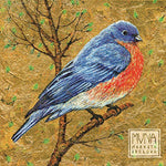 the album cover for Marketa Irglova - Muna