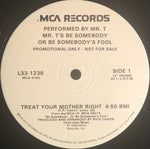 Mr. T (2) / Valerie Landsburg : Mr. T's Be Somebody Or Be Somebody's Fool (12", Promo)