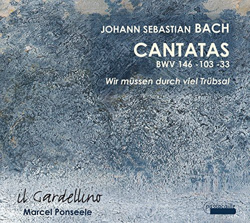 the album cover for Bach / Il Gardellino / Ponseele - Cantatas BWV 146 103 & 33
