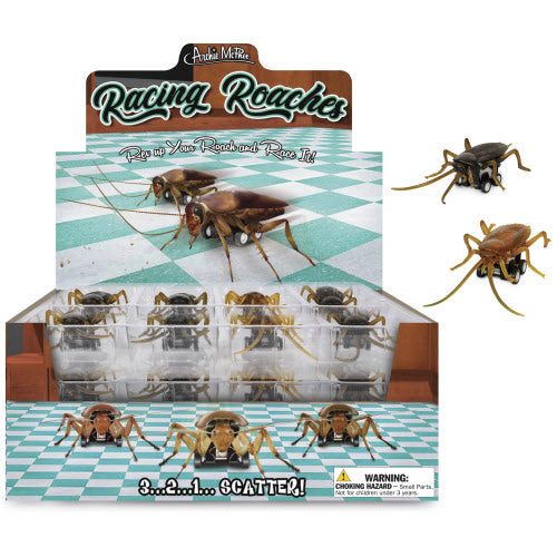 Cucarachas de carreras