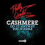 the album cover for Cashmere - Do It Anyway You Wanna