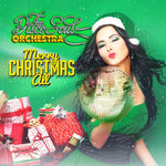 the album cover for The DiscoSoul Orchestra - Merry Christmas All
