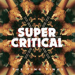 The Ting Tings - Super Critical (Vinilo)
