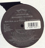 Shabba Ranks Featuring Patra And Terri & Monica : Family Affair (12", Maxi)