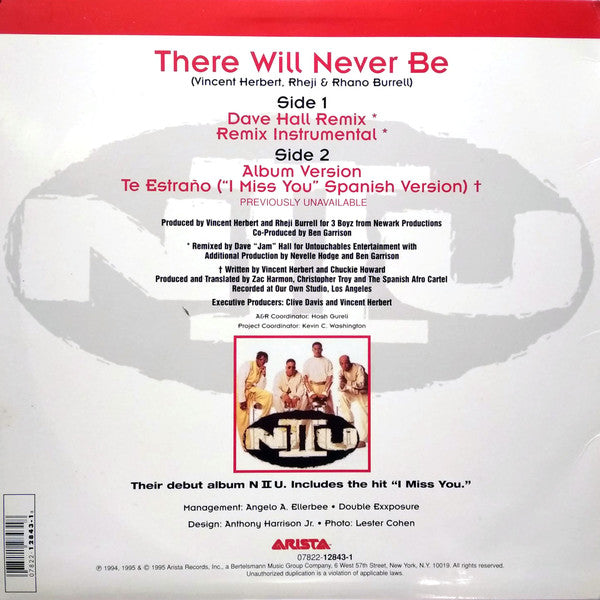 N II U : There Will Never Be (12")