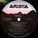 N II U : There Will Never Be (12")