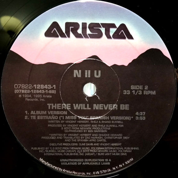 N II U : There Will Never Be (12")
