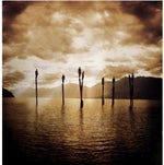 クローン - ヒア・カムズ・ザ・サン (CD)