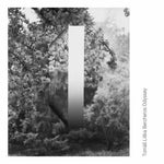 the album cover for Tomas Liska - Bercheros Odyssey