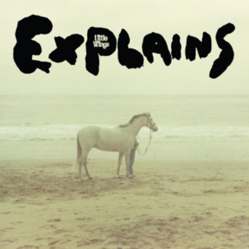 Little Wings - Explains (Vinyl)