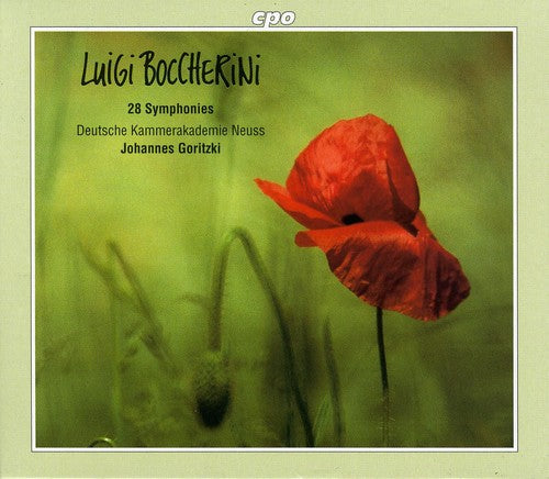 Johannes Goritzki - 28 Sinfonías (CD)