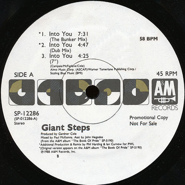 Giant Steps (2) : Into You (12", Single, Promo)