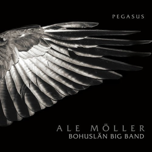 the album cover for Ale Möller - Pegasus