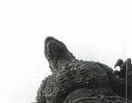 Naoki Sato : ゴジラ -1.0 = Godzilla -1.0 (CD, Album)