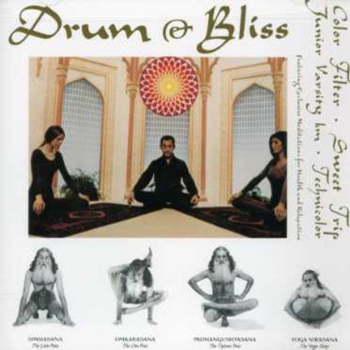 the album cover for Drum & Bliss / Various - Drum & Bliss