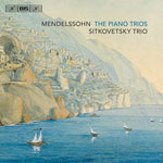 the album cover for Mendelssohn / Sitkovetsky Trio - Piano Trios