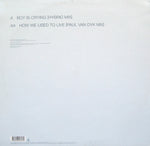 Saint Etienne : Boy Is Crying (12", Single)