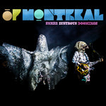 the album cover for Of Montreal - Snare Lustrous Doomings