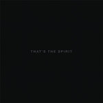 ブリング・ミー・ザ・ホライズン - ザッツ・ザ・スピリット(レコード)