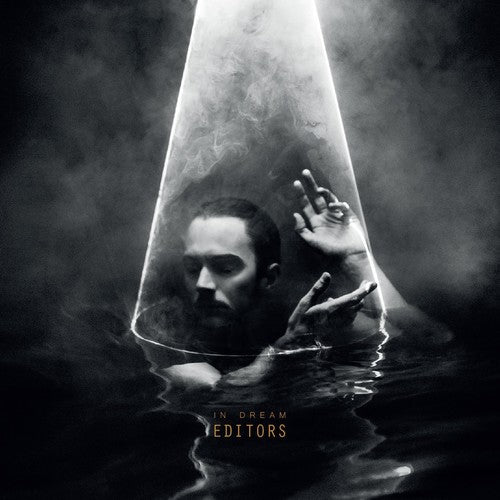 the album cover for Editors - In Dream