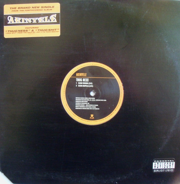 Akinyele : Thug Ness (12", Single, Promo, RM)