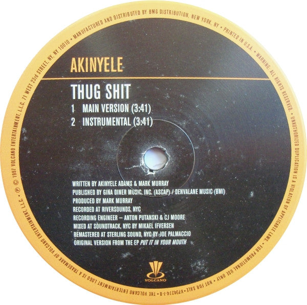 Akinyele : Thug Ness (12", Single, Promo, RM)