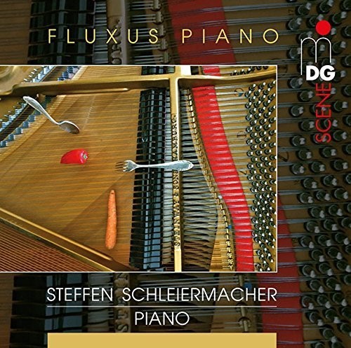 the album cover for STEFFEN SCHLEIERMACHER - Fluxus Piano